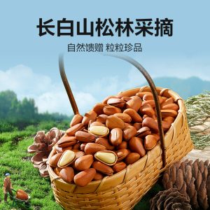 Bestore Red pine in Changbai Mountain